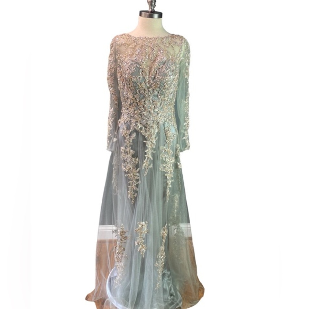 Elegant Embellished Evening Gown